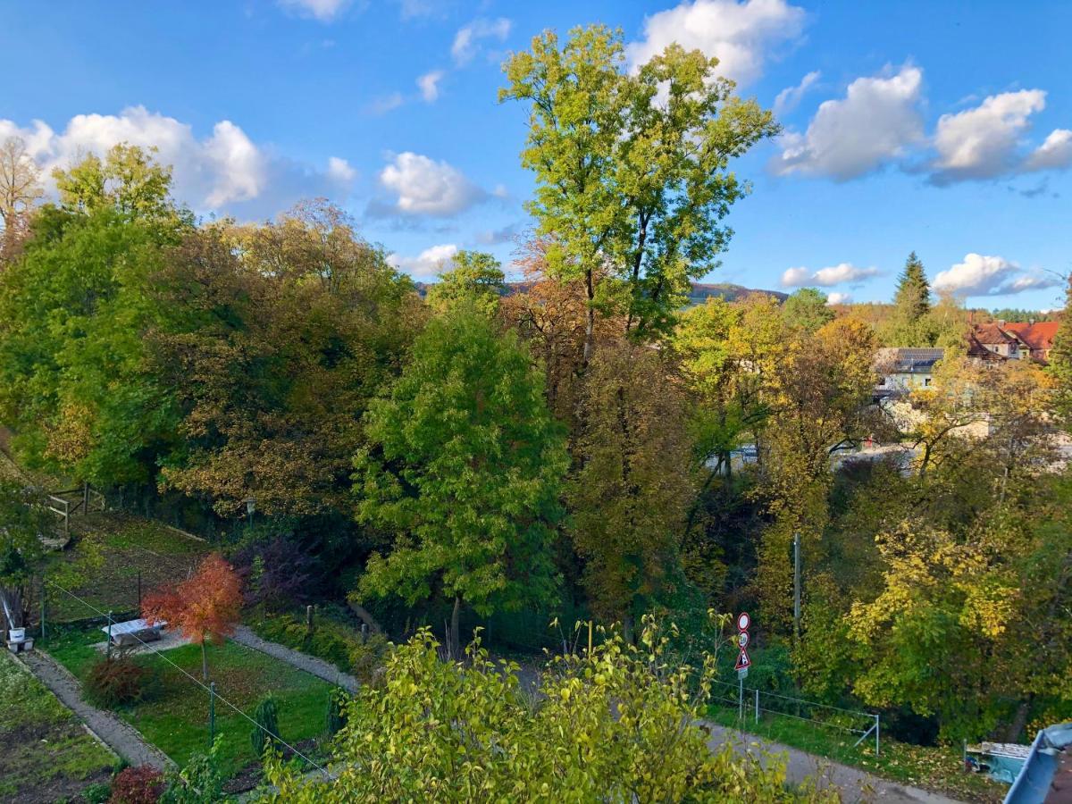 Ferienwohnung Im Gruenen Auf Idyllisch Gelegenen Gutshof Und Doch So Zentral Waldshut-Tiengen Exterior foto